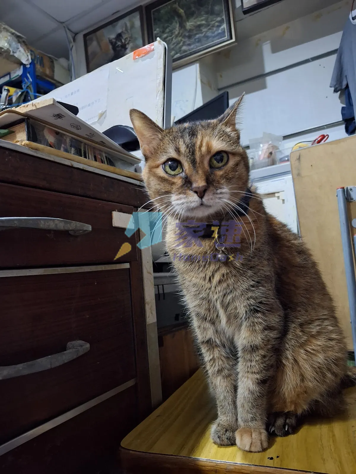 福榮街126-128號/欽州街96-98號