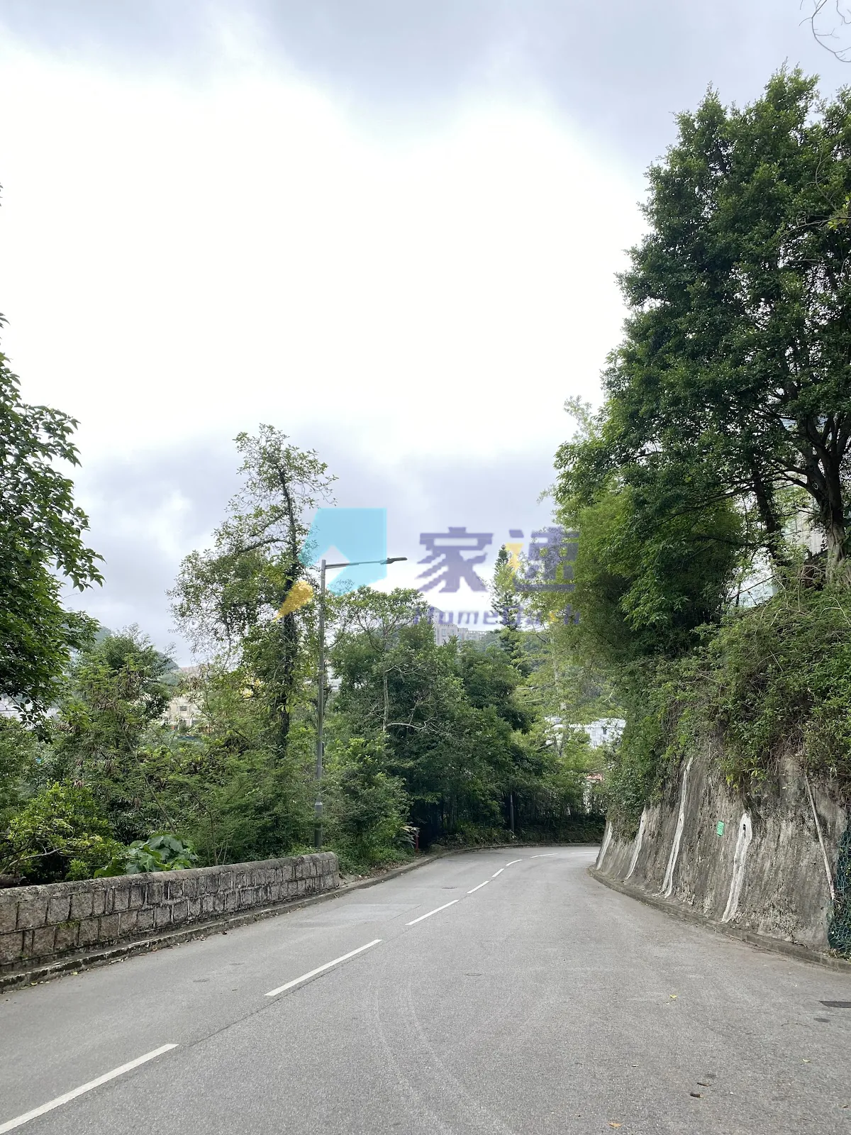 中峽道8號